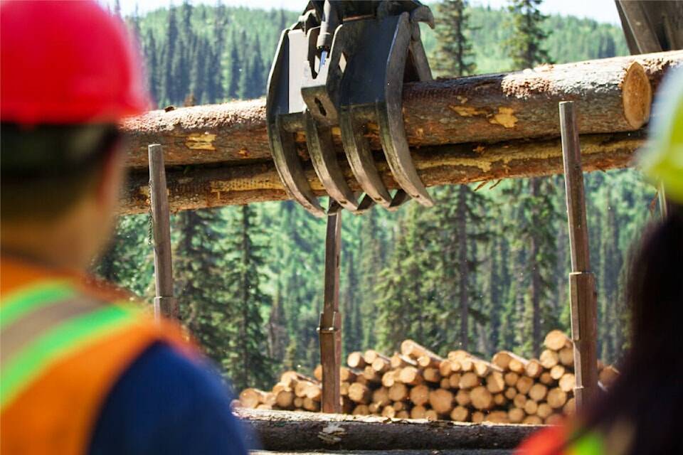 West Fraser Timber Company decking logs. (West Fraser photo)