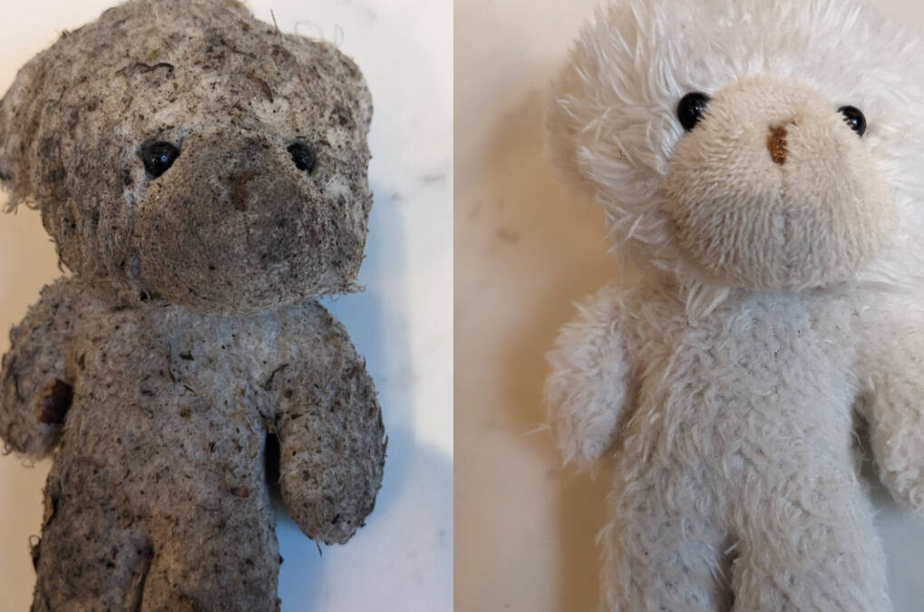 This tiny stuffy has yet to be reunited with its family, but is drawing a lot of attention and creating community on the Oak Bay Lost & Found Facebook page.(Courtesy Cyndra Townley)