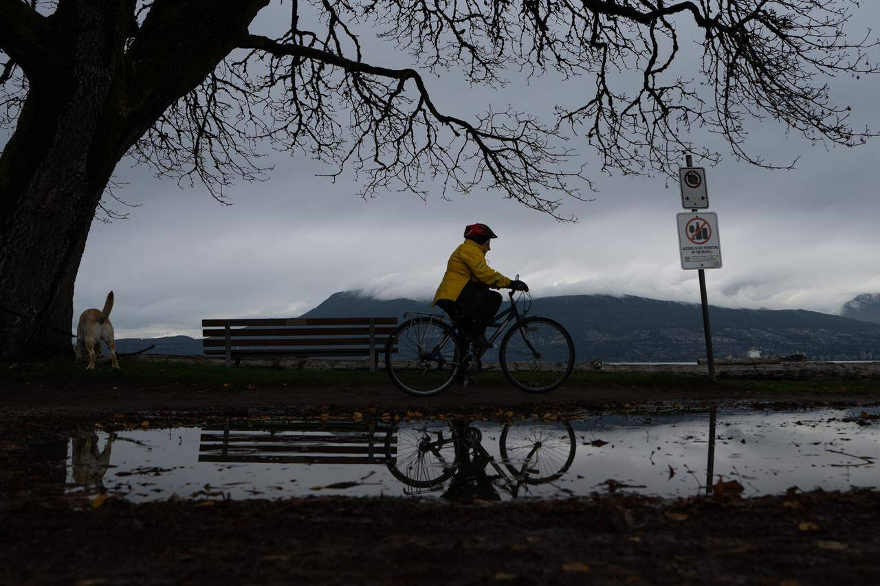 Environment Canada has downgraded a rainfall warning for parts of Metro Vancouver, but B.C.’s River Forecast Centre has added a flood watch for the Sumas area as a series of atmospheric rivers deluge the province’s South Coast. A person rides their bicycle in the rain at Locarno Beach in Vancouver, B.C., Saturday, Nov. 11, 2023. THE CANADIAN PRESS/Ethan Cairns