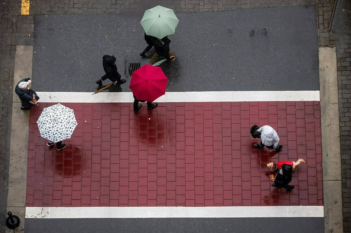 People walk a dog wearing a raincoat as others carry umbrellas while rain falls, in Vancouver, on Sunday, December 27, 2020. Days of heavy rain and snowmelt from record-high temperatures have pushed rivers over their banks, prompting flooding and warnings in southwestern B.C. THE CANADIAN PRESS/Darryl Dyck