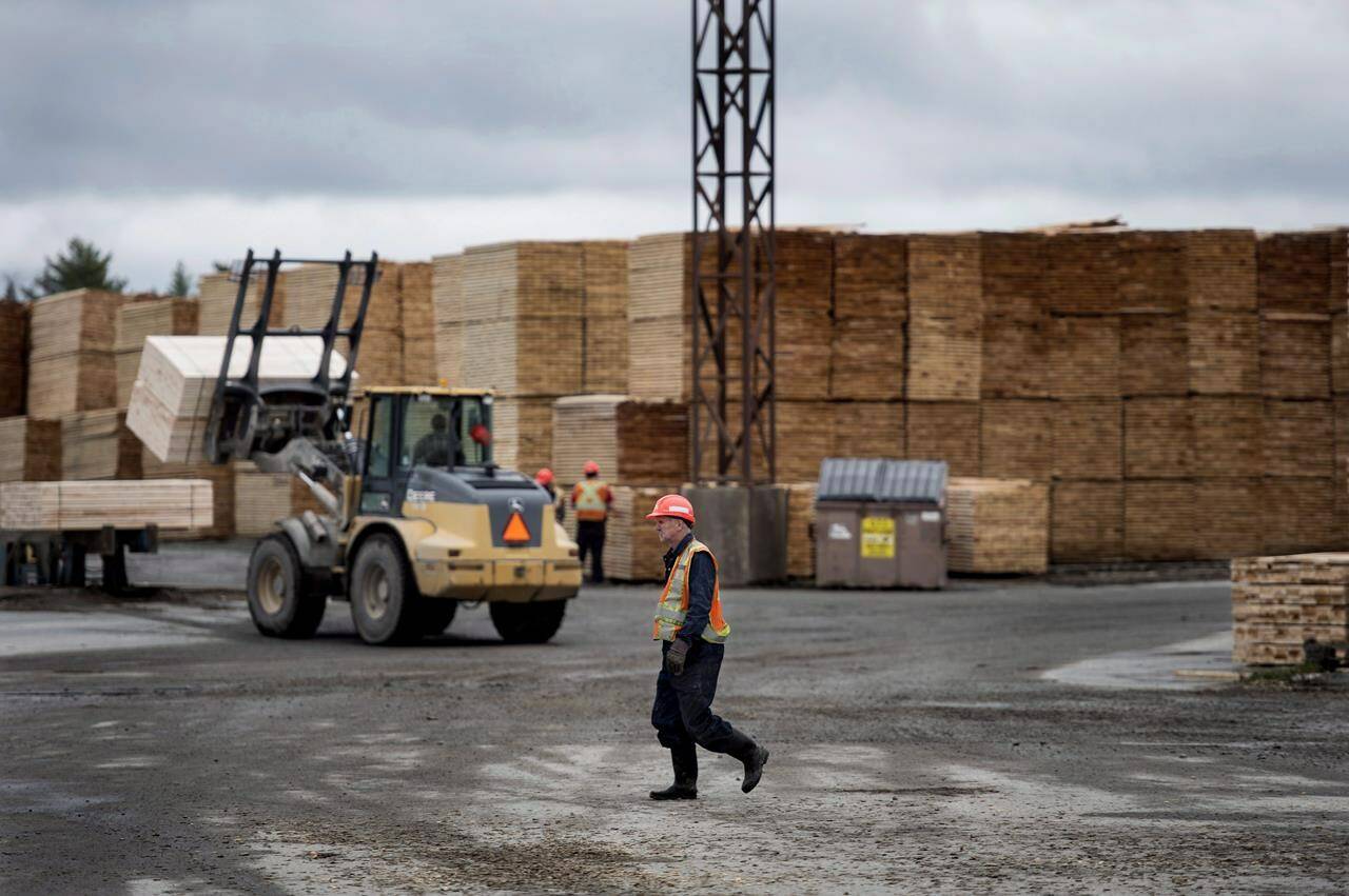 An employee walks across the lumber yard at Ledwidge Lumber Co. in Halifax on Wednesday, May 10, 2017. The federal government is lashing out at the U.S. Commerce Department over plans to raise duties on Canadian softwood lumber. THE CANADIAN PRESS/Darren Calabrese