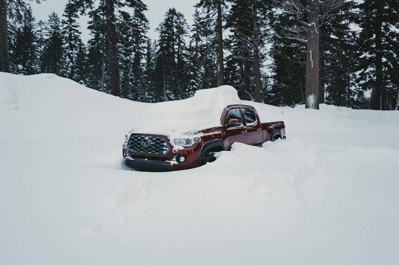 In this photo provided by the Mammoth Mountain Ski Area, a truck is covered in snow in Mammoth Lakes, Calif., on Monday, Feb. 5, 2024. (Hudson Henry/Mammoth Mountain Ski Area via AP)