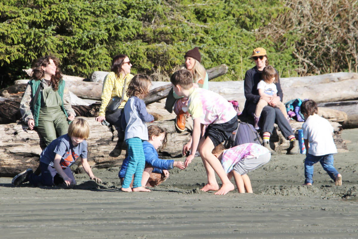 Tofino families had a blast at Chesterman Beach on Saturday, Feb. 3. The beach was named the sixth best in the world on a list published by Lonely Planet. (Andrew Bailey photo)