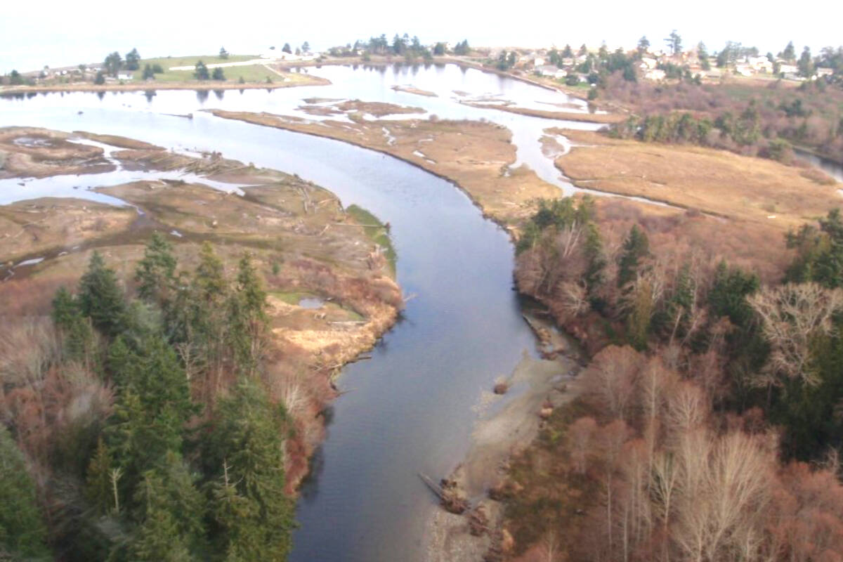 The Englishman River estuary in Parksville is one of 15 coastal B.C. estuaries targeted by the Nature Trust’s Enhancing Estuary Resilience project. (City of Parksville photo)