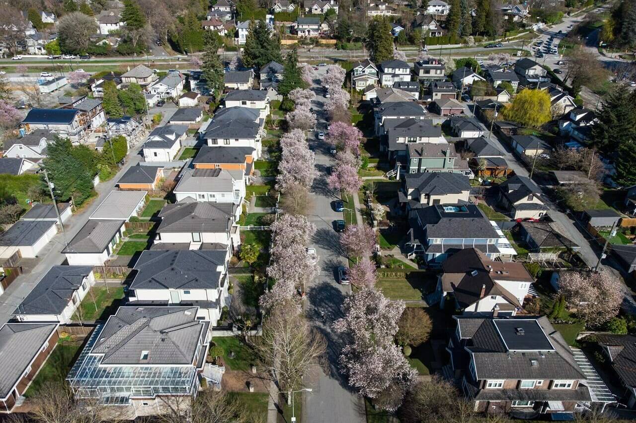 Cherry blossom trees line a residential street in Vancouver, on Tuesday, April 4, 2023.The Real Estate Board of Greater Vancouver says new listings were up in February as home sellers shed some of their hesitance and home sales also rose. THE CANADIAN PRESS/Darryl Dyck