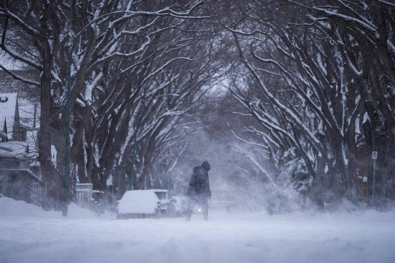 A person bundled up for the cold weather walks through blowing snow in Regina, on Sunday, March 3, 2024. White-out conditions across much of the Prairies has forced highways to close, disrupted flights and prompted the mayor of one city to ask anyone without a vehicle equipped with four-wheel drive to stay home. THE CANADIAN PRESS/Darryl Dyck