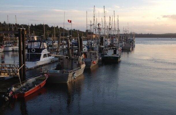 A view of Masset harbour. The Canadian Coast Guard issued a $12,000 fine to an owner of a derelict boat on Jan. 23. (Kate Gannon/Submitted)