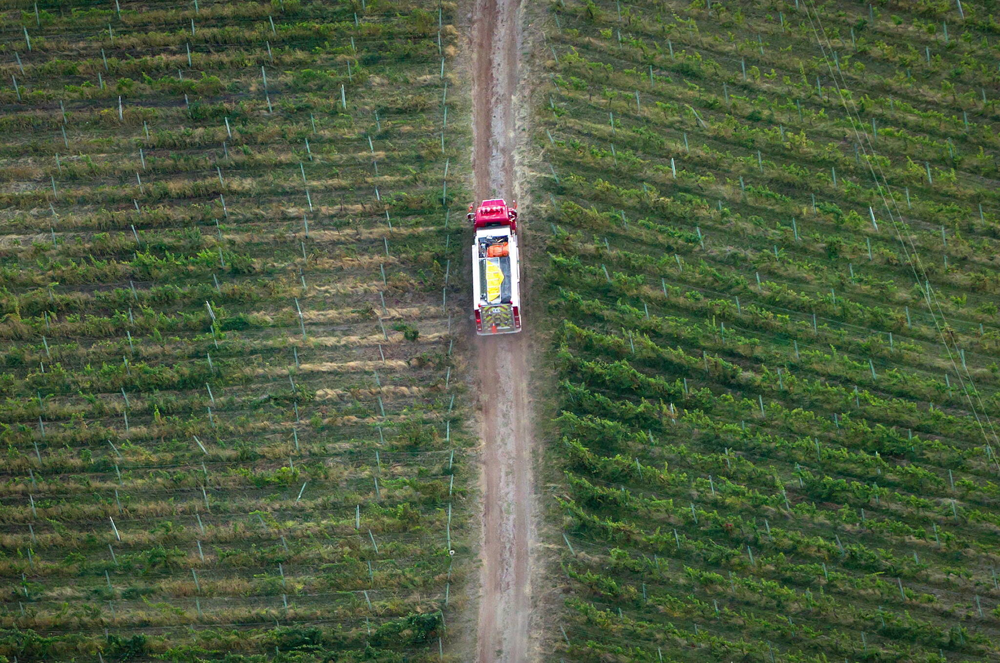 A fire truck is driven through a vineyard while battling a wildfire in Peachland, B.C., on Monday September 10, 2012. Consumers can expect a smaller selection of local vintages hit retail shelves as British Columbia’s wine industry grapples with the fallout of two years’ worth of significant crop losses from cold snaps that followed severe wildfires. THE CANADIAN PRESS/Darryl Dyck