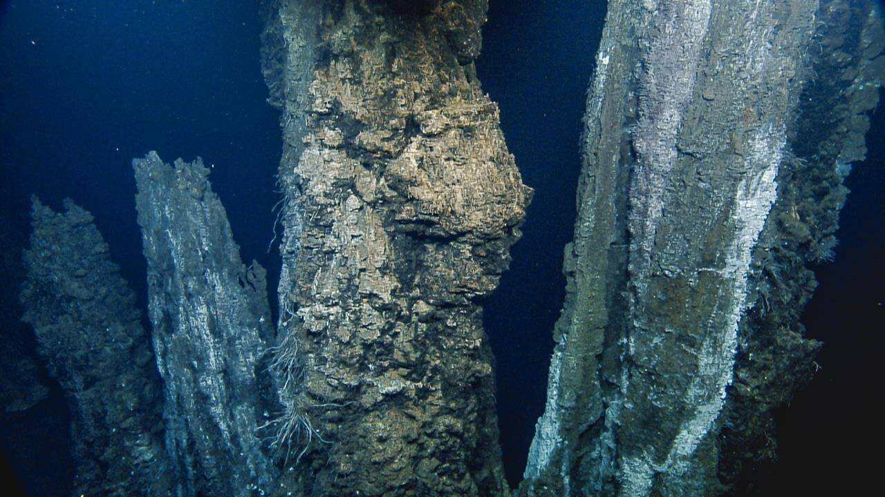 An image of the sea floor at the Endeavour segment of the Juan de Fuca Ridge is shown in a handout photo. Scientists say they recorded 200 earthquakes in an hour on the sea floor 260 kilometres off the coast of Tofino, B.C., suggesting it will erupt. THE CANADIAN PRESS/HO-Ocean Network Canada/Ocean Exploration Trust