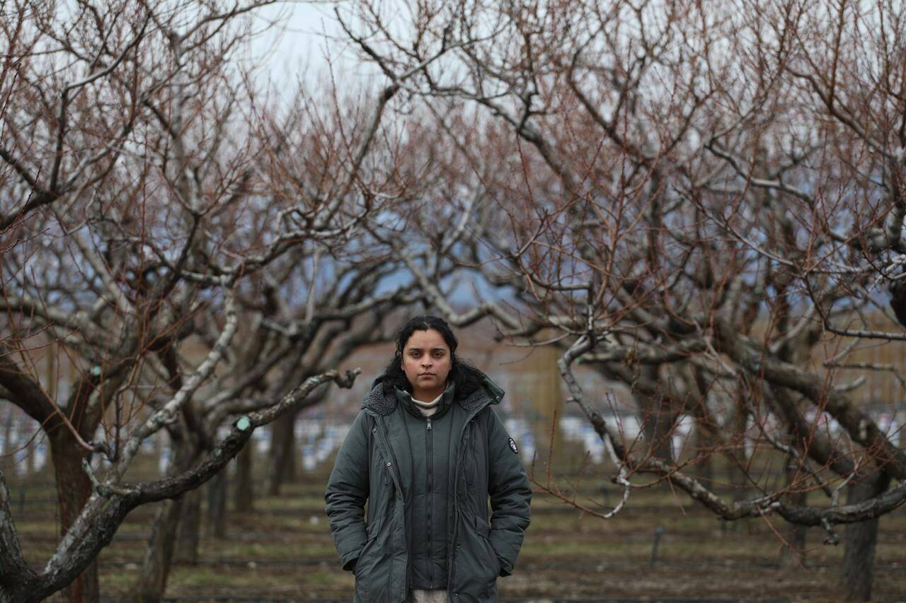 Jennifer Deol, the co-owner of There and Back Again Farms, stands near the farm’s peach orchard in Kelowna, B.C., on Tuesday, March 5, 2024. B.C. farmers are predicting at least a 90 per cent loss of this summer’s harvest of fruit including peaches, apricots and nectarines. THE CANADIAN PRESS/Aaron Hemens