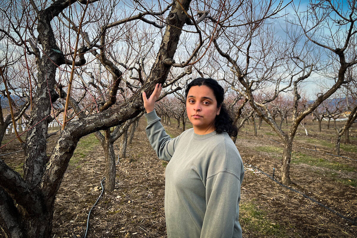 Jennifer Deol of There and Back Again Farms in Kelowna is faced with significant crop loss after with yet another year of ‘unprecedented weather events’. (Jacqueline Gelineau/Capital News)