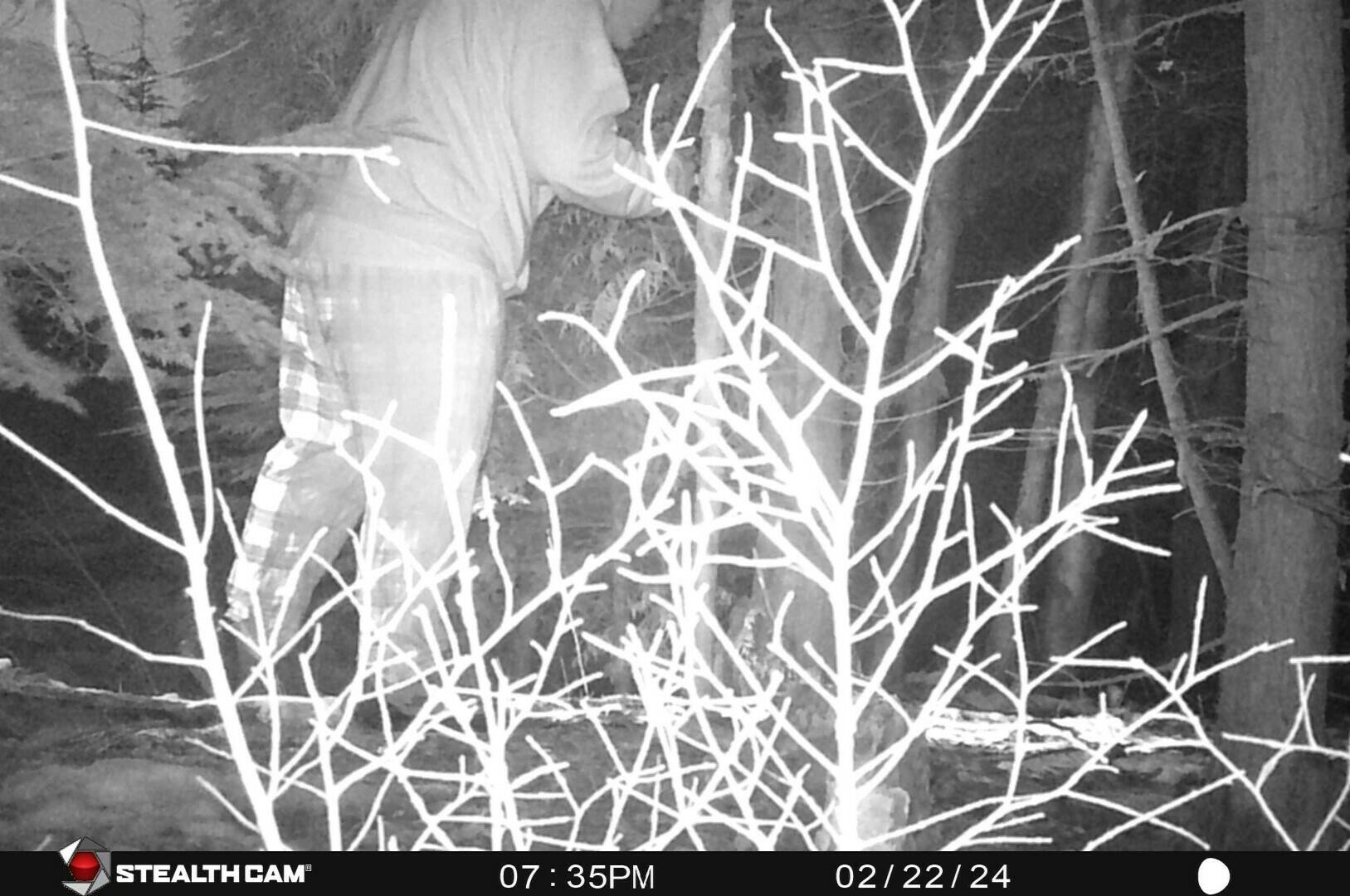 BC Conservation are looking to identify a person of interest relating to three wolf traps set without authorization next to Saunders Hill Road in Kitimat. The traps ensnared a resident’s dog on Feb. 15. (BC Conservation Service photo)