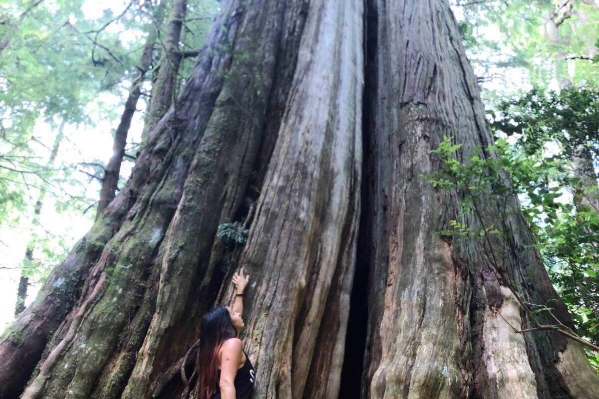 Tla-o-qui-aht Tribal Parks Guardian Gisele Martin shares a moment with an old growth tree. The provincial government is currently accepting public submissions for plans for two conservancies in Clayoquot Sound following discussions with Ahousaht and Tla-o-qui-aht First Nations. (Submitted photo)