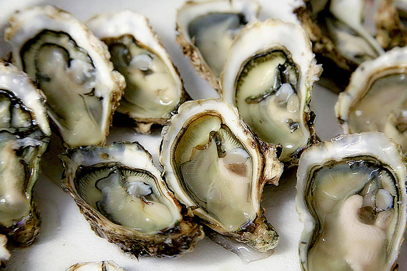 A new research project aims to develop new testing methods for marine fecal pollution, with the ultimate goal of protecting shellfish harvests. (Black Press Media file photo)