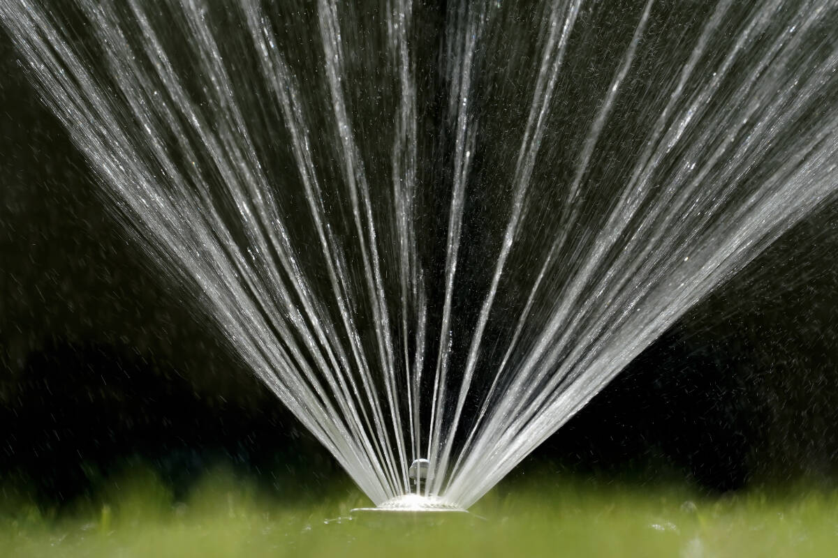 Water flies from a sprinkler on a lawn in Sacramento, Calif., on July 8, 2021. In B.C., Metro Vancouver residents will be limited to watering their lawns once a week, beginning on May 1, 2024. (AP Photo/Rich Pedroncelli, File)