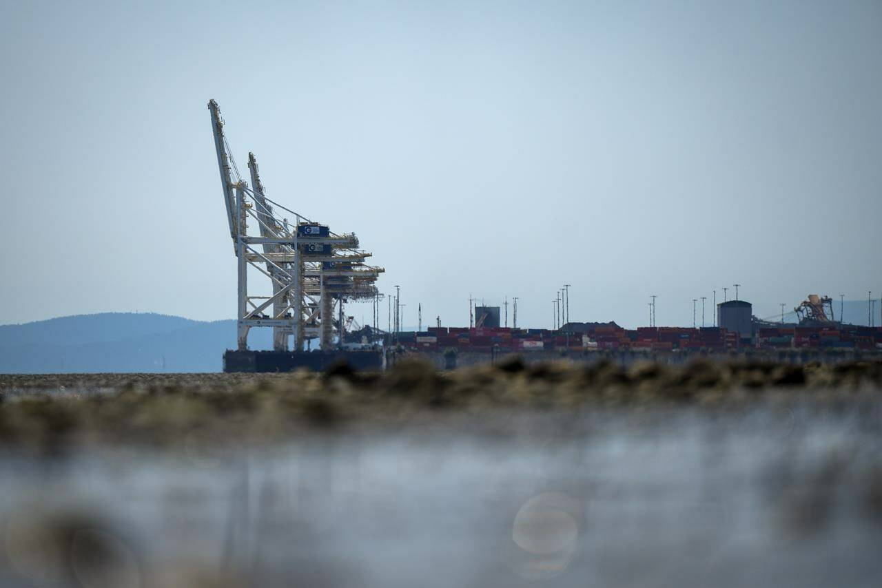 Gantry cranes used to load and unload cargo containers from ships sit idle at Global Container Terminals at Deltaport, in Delta, B.C., Friday, July 7, 2023. THE CANADIAN PRESS/Darryl Dyck