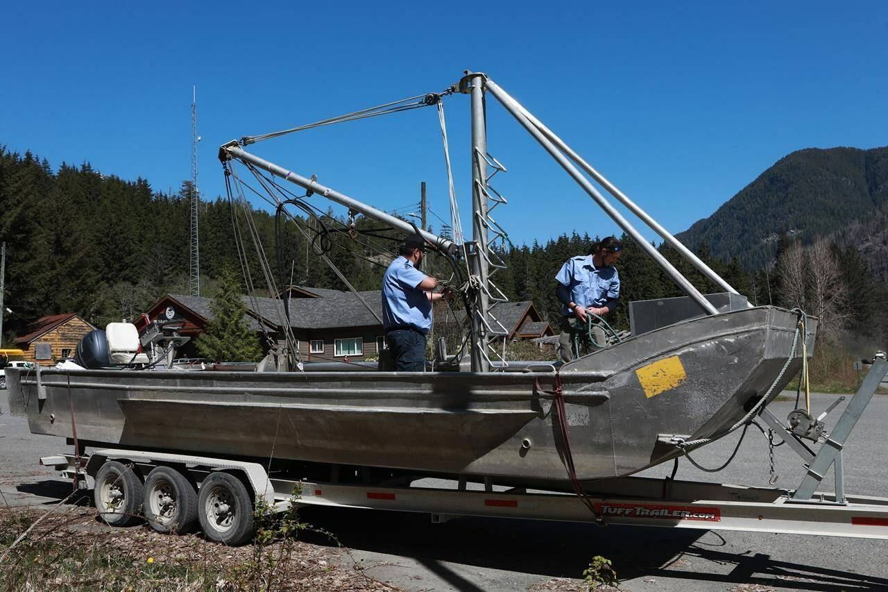 Deckhands from the Homalco First Nations ready a seine boat out front of the Ehattesaht First Nation’s band office in Zeballos, B.C., Thursday, April 18, 2024. The arrival of a large seine fishing vessel capable of casting a net strong enough to hold an almost 700 kilogram killer whale calf has arrived in Zeballos, B.C. to participate in the expected latest attempt to rescue a young orca stranded in a remote tidal lagoon. THE CANADIAN PRESS/Chad Hipolito