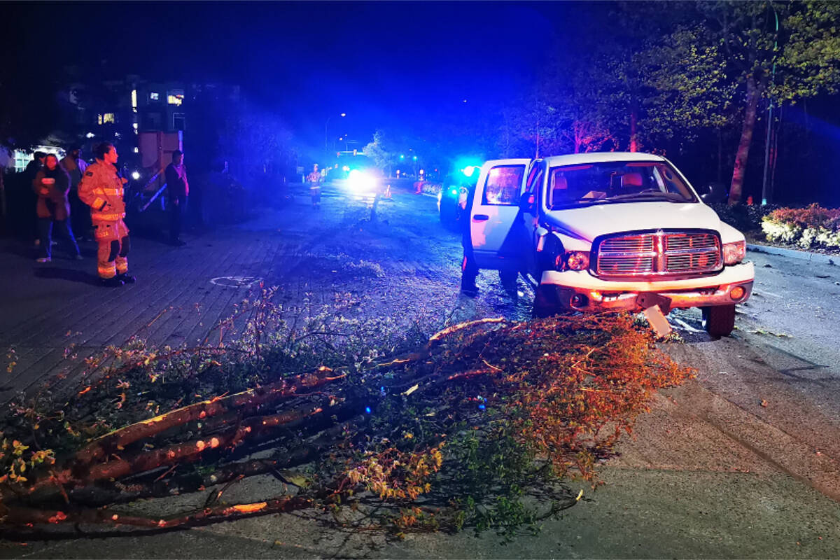 North Vancouver RCMP say the driver of white truck fled the scene on April 17 after crashing into a tree in North Vancouver. Their subsequent investigation resulted in two officers being injured. (North Vancouver RCMP)