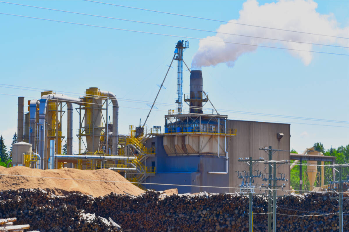 The factory at Strathnaver near Quesnel is owned by Drax, a company specializing in turning under-utilized wood and sawmill waste fibre into burnable energy pellets. (Frank Peebles photo - Quesnel Cariboo Observer)