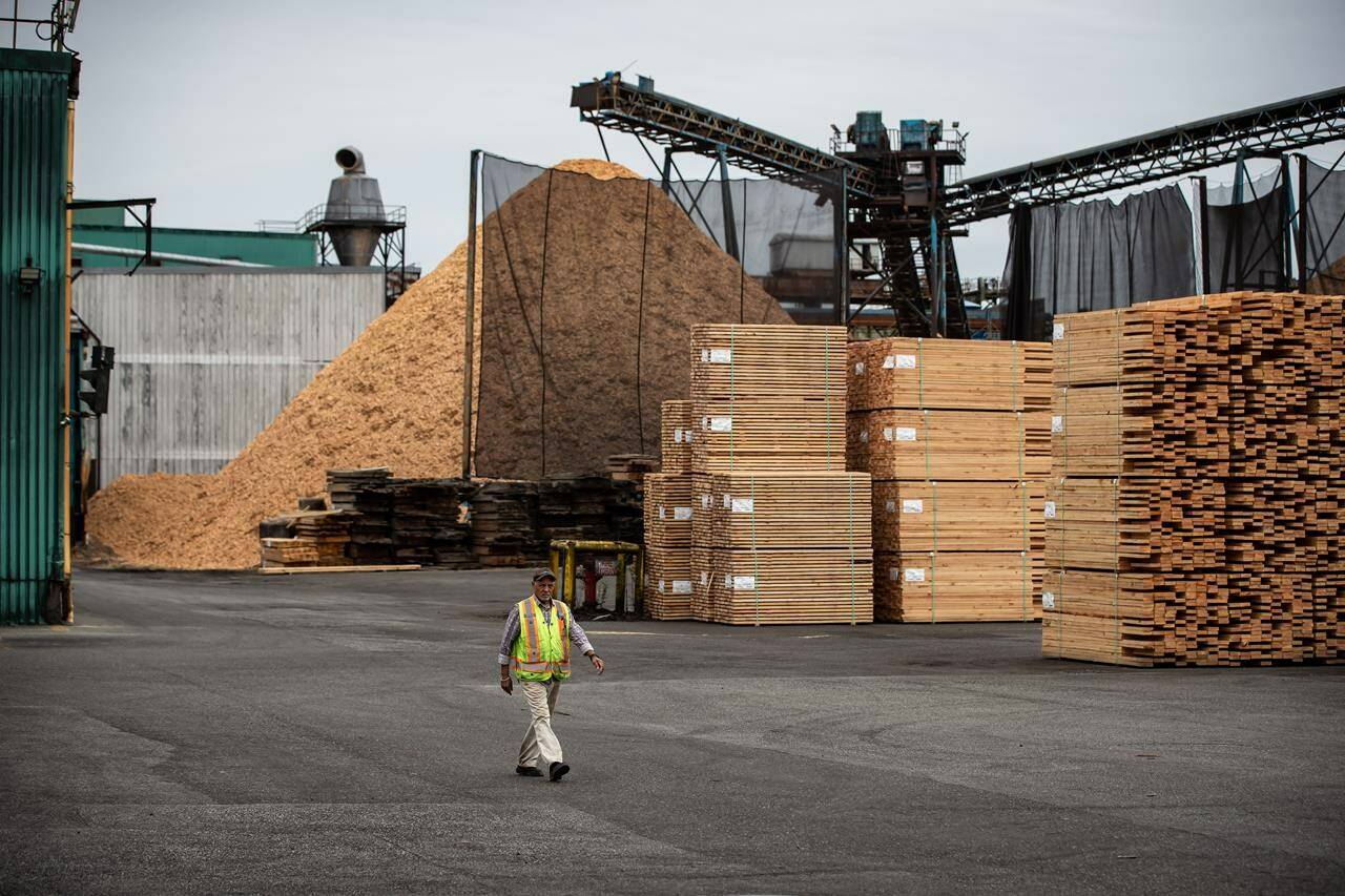 Stacks of lumber are seen at Teal-Jones Group sawmill in Surrey, B.C., on Sunday, May 30, 2021. The company filed for creditor protection in the B.C. Supreme Court on April 24, 2024. THE CANADIAN PRESS/Darryl Dyck