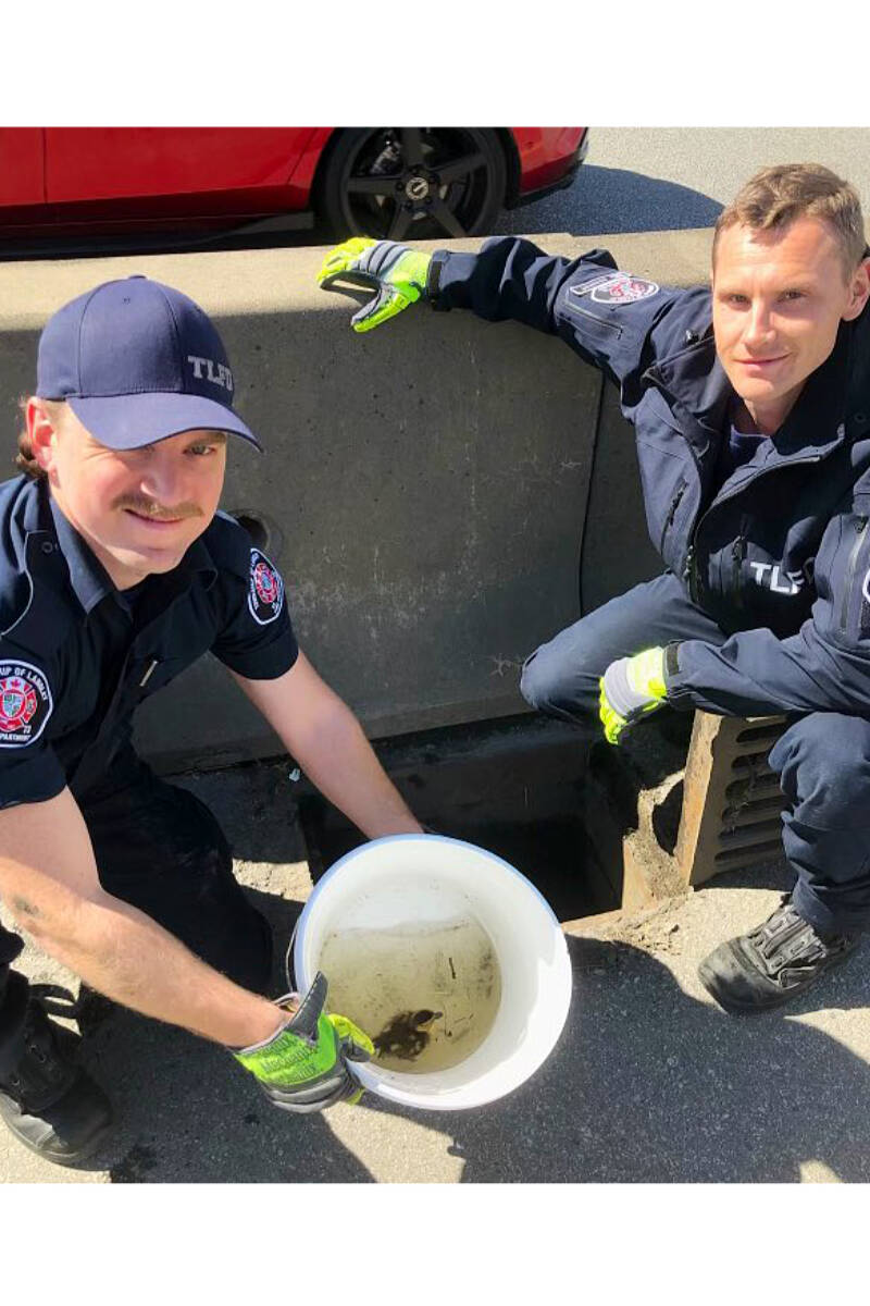 Township of Langley firefighters rescued two ducklings from storm drains along Glover Road on Monday, April 29. (Township of Langley Fire Department/Special to the Langley Advance Times)
