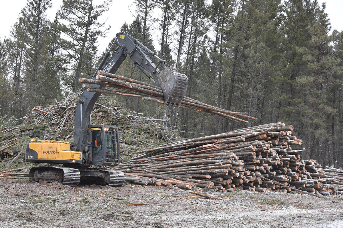Interfor announced Wednesday its reducing lumber production across North American operations by around 10 per cent. Photo: Cranbrook Townsman file