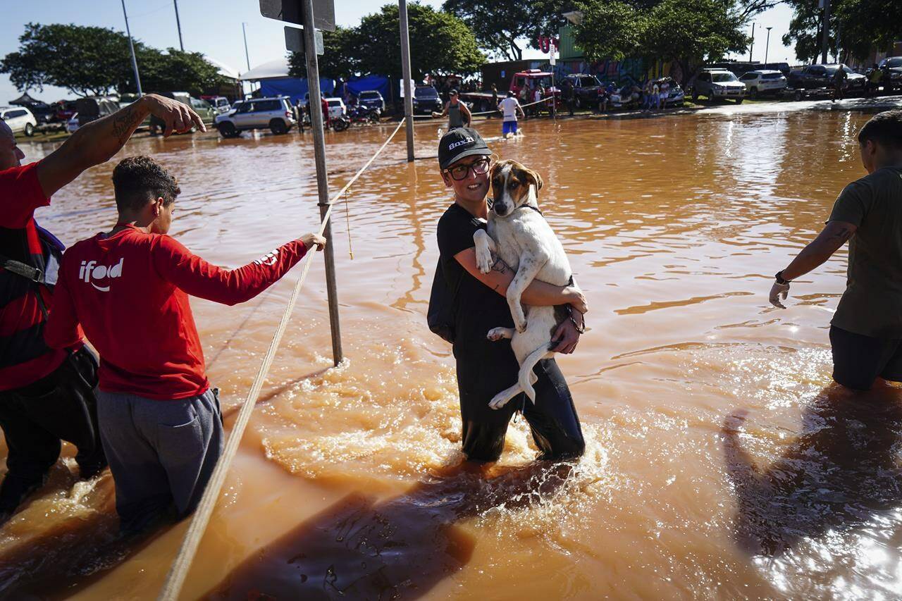 A woman, cradling a dog, wades through a street flooded by heavy rains in Porto Alegre, Rio Grande do Sul state, Brazil, Monday, May 6, 2024. (AP Photo/Carlos Macedo)