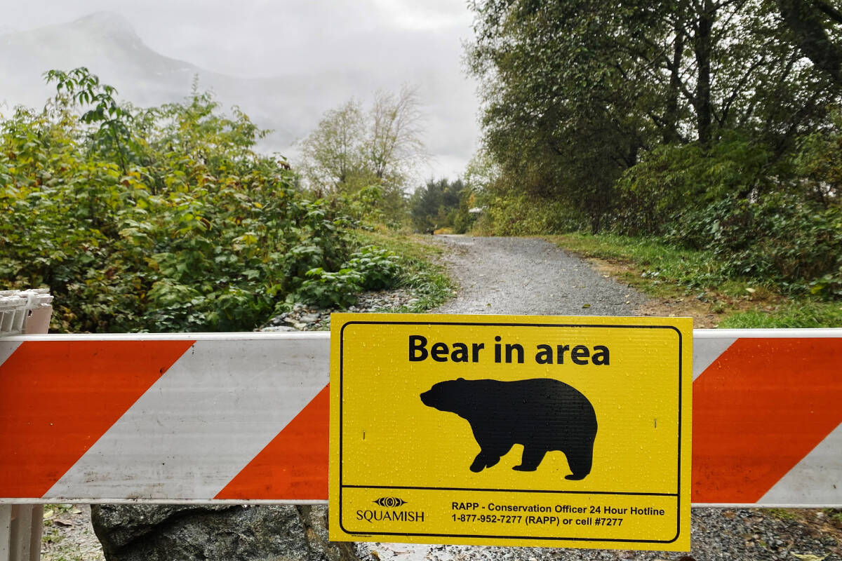 A Nov. 4, 2022 file photo of a sign warning of a bear in the area at the Squamish Estuary trail network. THE CANADIAN PRESS/Amy Smart