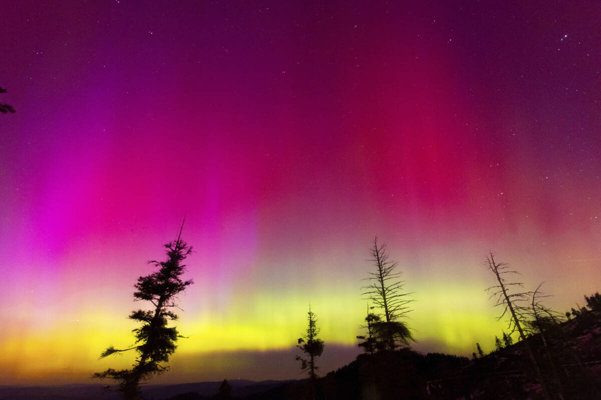 The Northern Lights fill the sky at the Bogus Basin ski resort on Saturday, May 11, 2024 in Boise, Idaho. (Kyle Green (AP Photo/Kyle Green)
