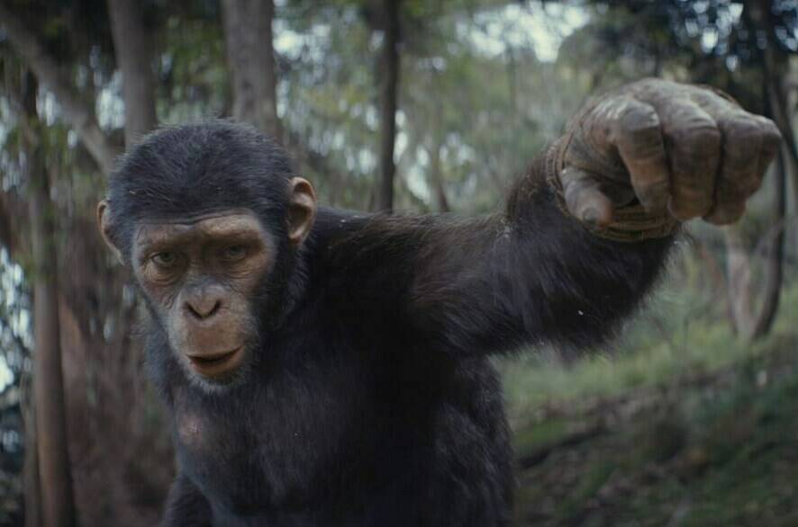 This image released by 20th Century Studios shows Noa, played by Owen Teague, in a scene from “Kingdom of the Planet of the Apes.” (20th Century Studios via AP)