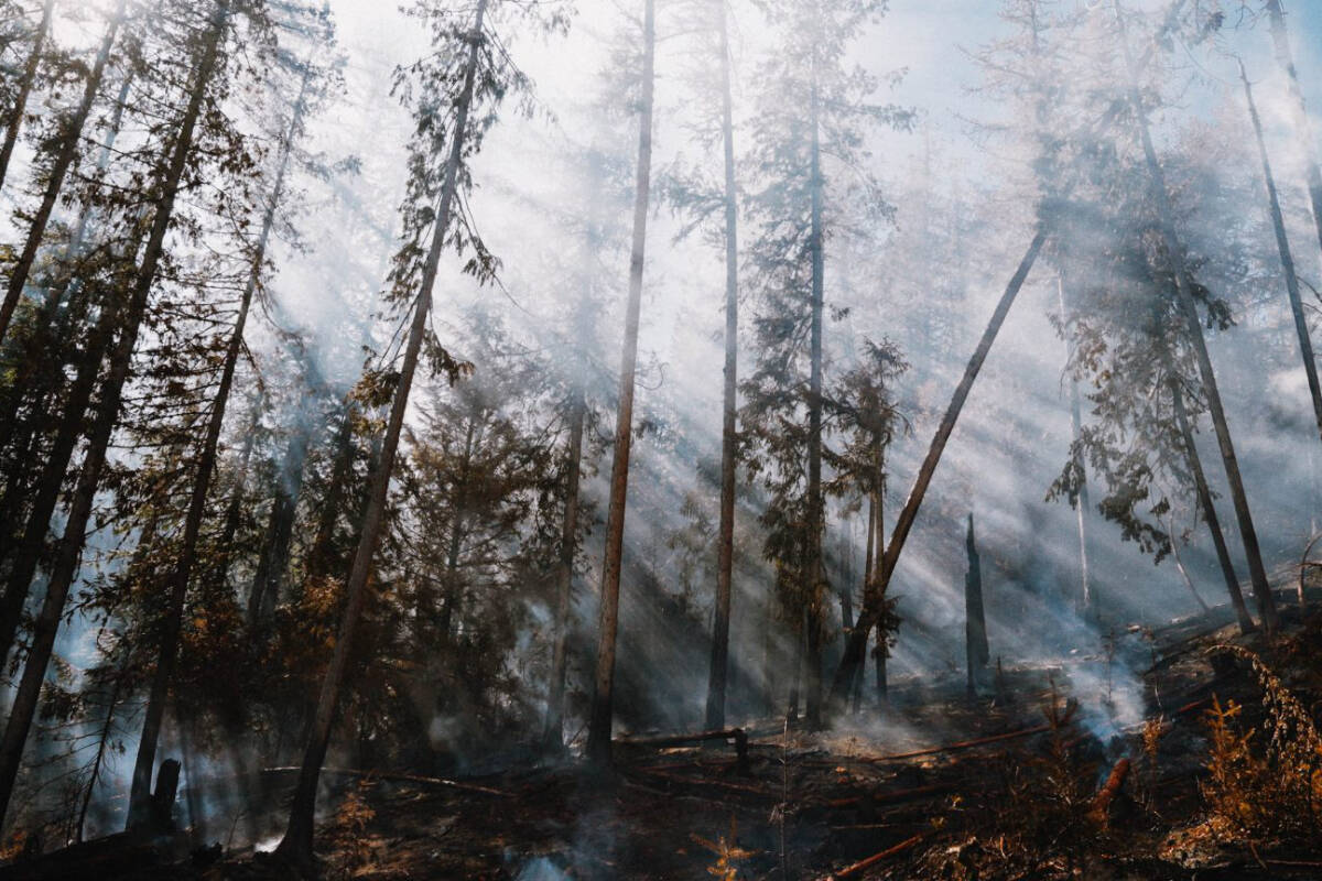 A new project at UVic released their first publication which lays out priorities that can be acted on right away to help manage wildfires. (Courtesy UVic)