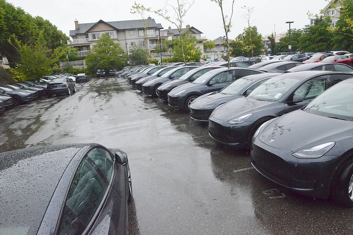 A fenced-off parking lot on 197 Street in Langley is filled with Tesla sedans, as the car company’s sales dipped this year, increasing inventory. (Matthew Claxton/Langley Advance Times)