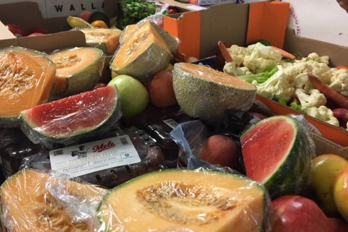 Food insecurity among British Columbians has been growing according to a new report that gives B.C. a D-plus tracking poverty. B.C.received a failing grade in several areas, but the report also handed out a B for efforts by government to deal with poverty. (Submitted photo)