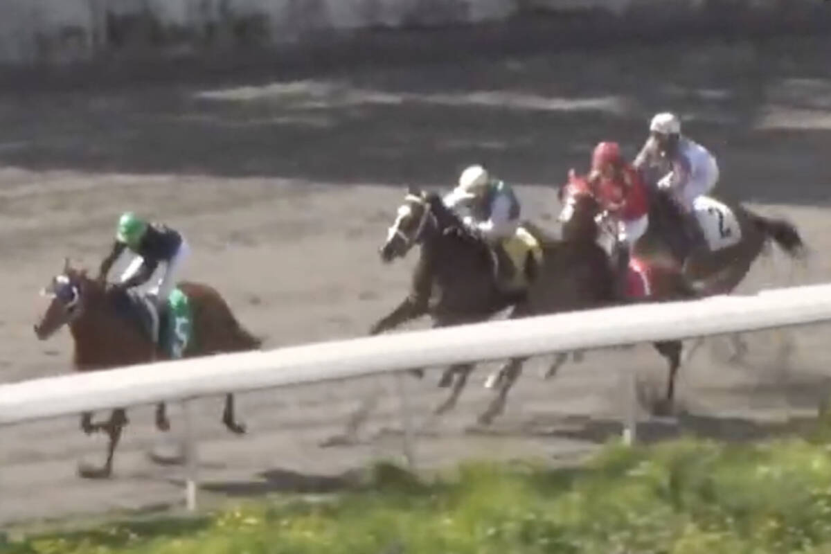 Lizzie’s Rayne, the horse in red, had to be euthanized after a race at Hastings racecourse in Vancouver on May 25, 2024. (Hastings Racecourse Vancouver YouTube)