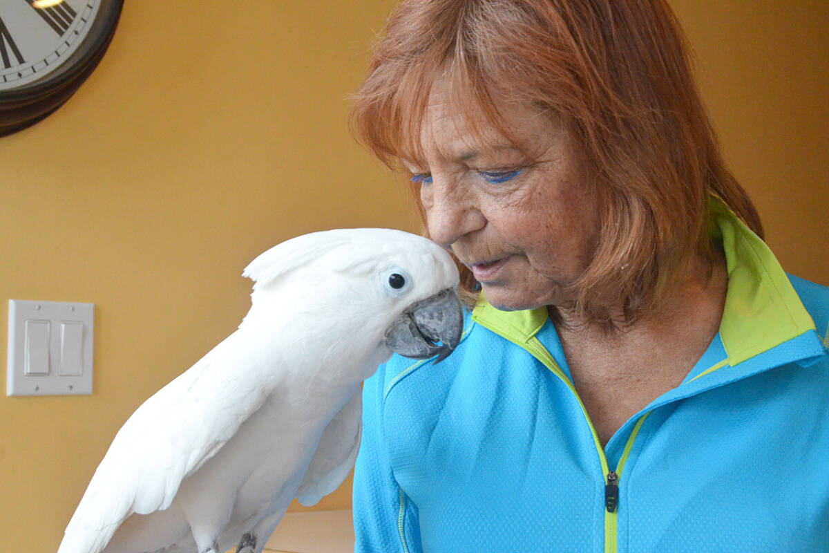 Diane Miller and her pet cockatoo, Rocky. Miller and Rocky are living in a van due to an inability to find affordable housing. (Matthew Claxton/Langley Advance Times)