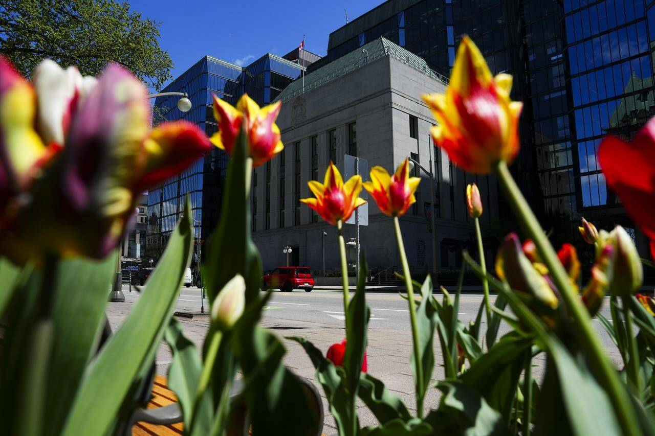 The Bank of Canada is seen through a bed of tulips in Ottawa on Monday, May 6, 2024. THE CANADIAN PRESS/Sean Kilpatrick