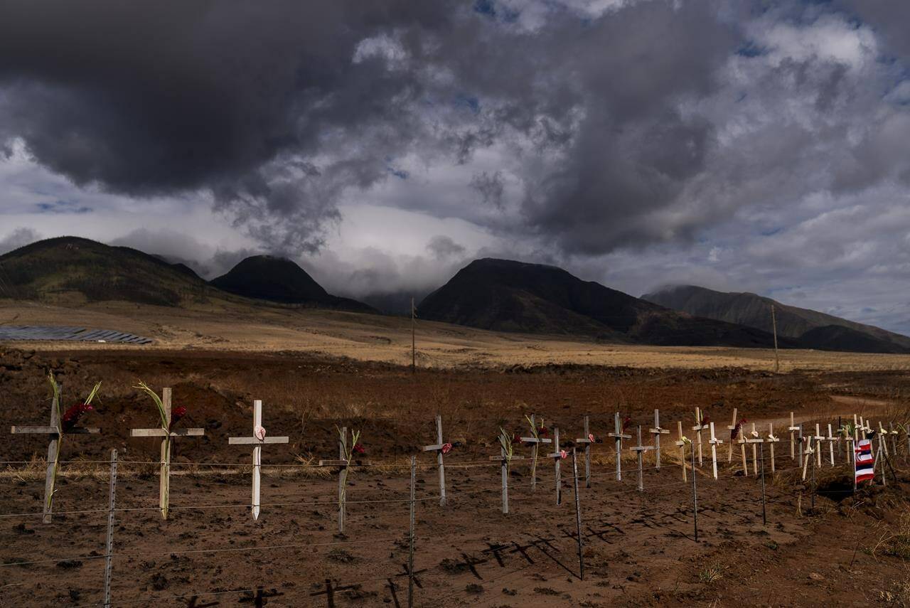 When wind-driven wildfires broke out on the Hawaiian island of Maui last summer, killing more than 100 people and destroying 2,200 buildings, many local residents didn’t know the extent of the disaster for days. Crosses honoring victims killed in a recent wildfire are posted along the Lahaina Bypass in Lahaina, Hawaii, Aug. 21, 2023. Evacuation orders in Lahaina were complicated by a telecommunications blackout, caused by the downing of all cellular and landline fibre and copper lines. THE CANADIAN PRESS/AP-Jae C. Hong