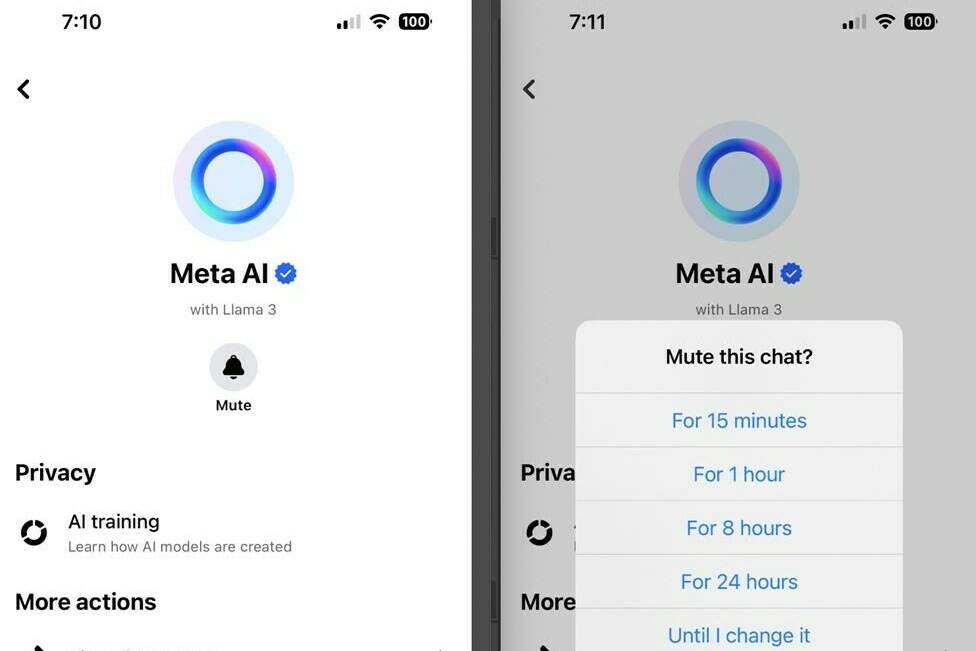 Meta Platforms Inc. has long been using artificial intelligence to help it serve users information and ads it thinks are most likely to interest them, but its new chatbot has thrust the company’s use of the technology back into the spotlight. Two screenshots taken from a smartphone on Thursday, May 30, 2024, show the steps needed to mute the “Ask Meta AI anything” chatbot on the Facebook and Instagram apps. THE CANADIAN PRESS/AP