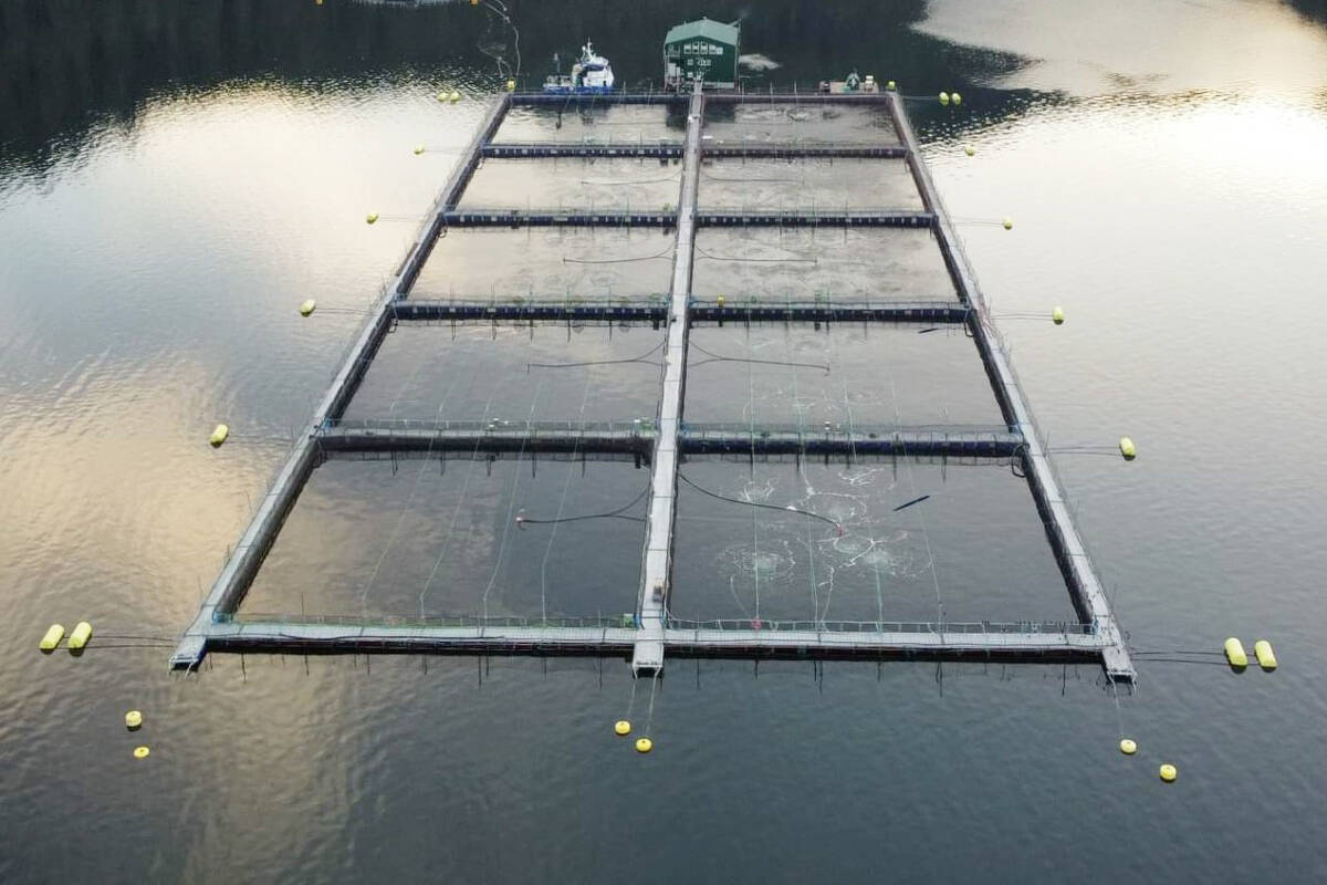 A now closed fish farm within B.C.’s Discovery Islands region. Photo courtesy Sheri Beaulieu/Canadian Aquaculture Industry Alliance