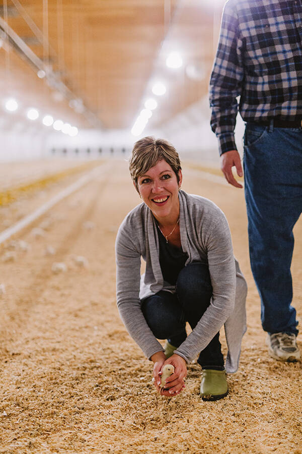 The BC Chicken Marketing Board notes that no hormones or steroids are fed to BC chickens, and all birds in the province are considered “free run,” allowed to roam free in the barn.