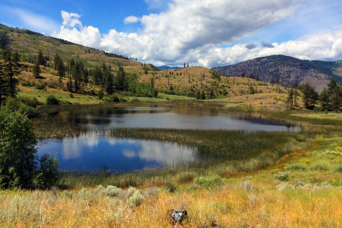 (Nature Conservancy of Canada photo)