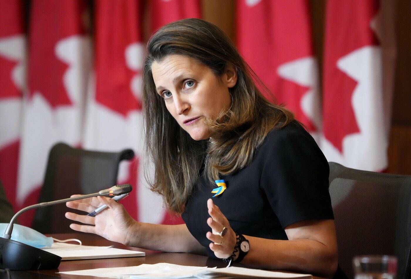 Deputy Prime Minister and Minister of Finance Chrystia Freeland participates in a media availability to discuss Canadian sanctions on Russia, as Russia continues to invade Ukraine, in Ottawa, on Tuesday, March 1, 2022. Freeland is warning Canadians against fighting for Russia in Ukraine, saying anyone who does so could face severe consequences.THE CANADIAN PRESS/Justin Tang