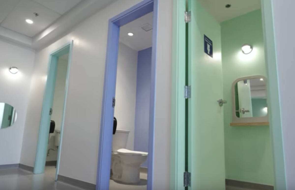 The Cowichan Valley school district has made a video to explain the "Washrooms for Everybody" concept at the new Cowichan Secondary School. (Screen shot)