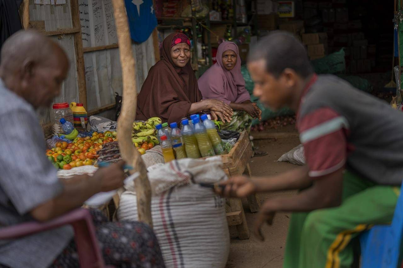 Khadija Abdi Ibrahim sits near her shop in Dollow, Somalia, on Tuesday, Sept. 20, 2022. She now keeps her goats, sheep and cattle alive by buying precious grain, grinding it and using it as fodder. She says the price of cooking oil and other items has doubled since last year. (AP Photo/Jerome Delay)