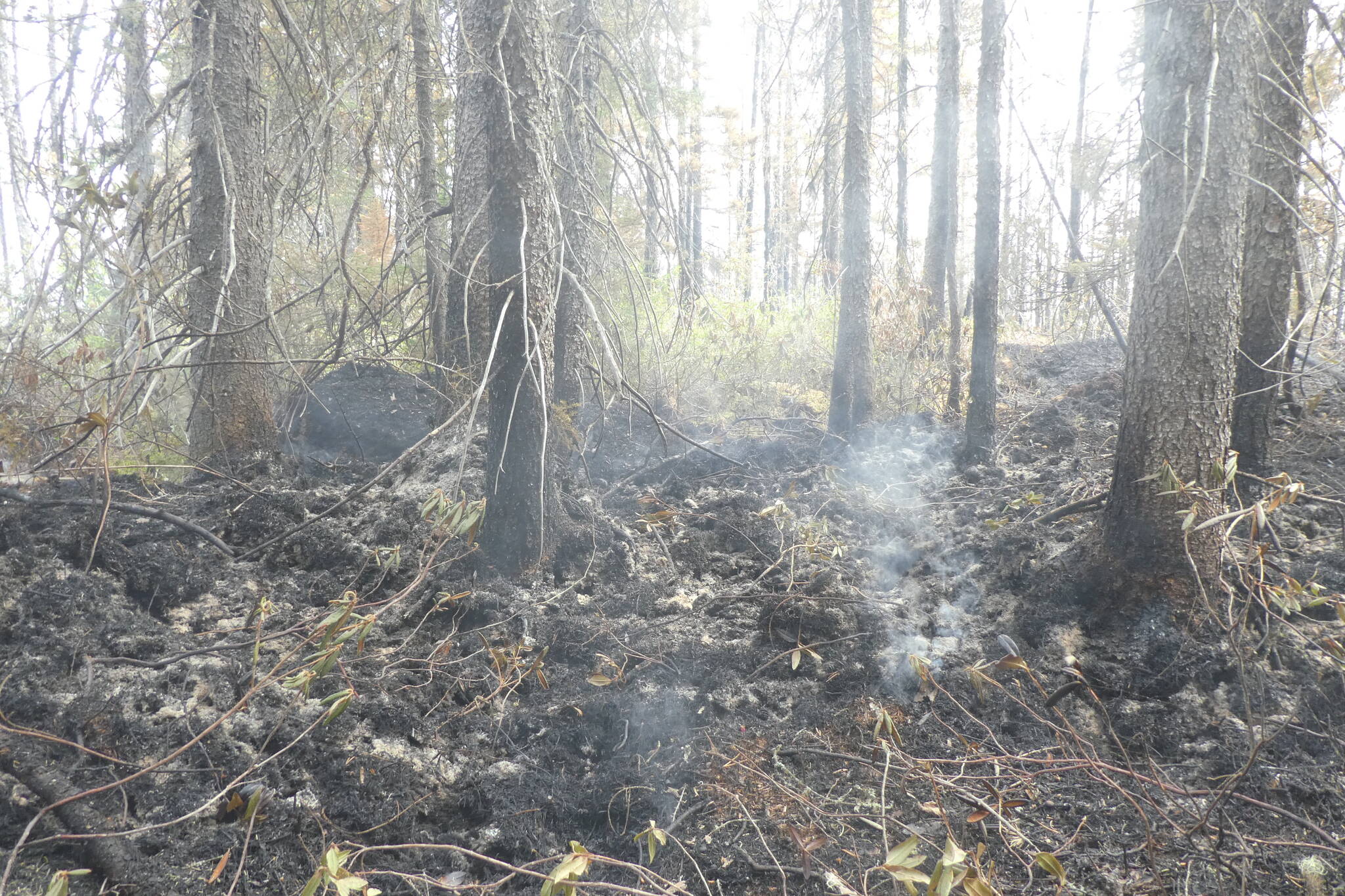 Hotspots continue to smoulder in a forest scorched by wildfire in Normetal, Que., in a June 11, 2023, handout photo. THE CANADIAN PRESS/HO-SOPFEU, Caroline Boyaud