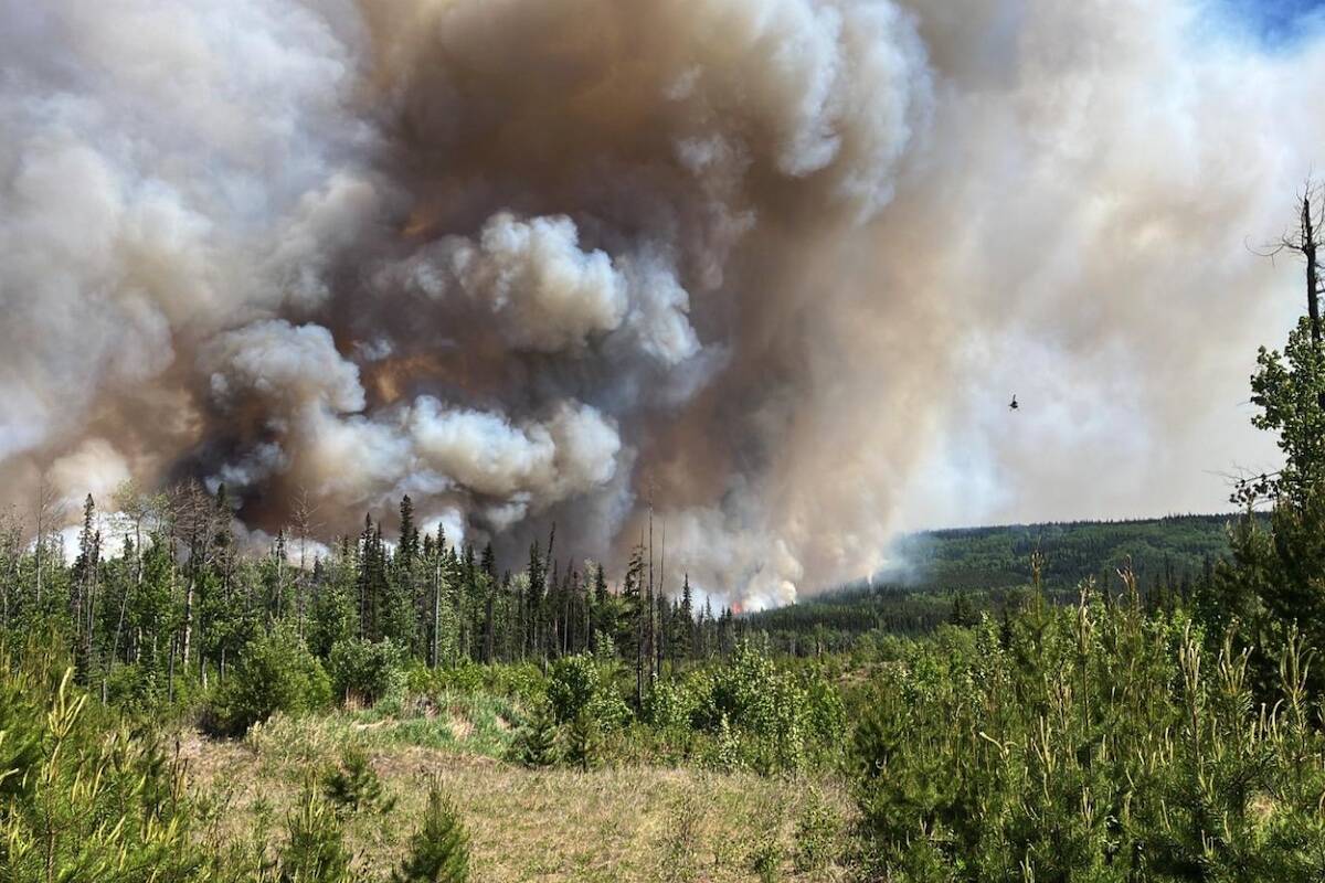 A fire near the Tumbler Ridge area in June 2023. The community was evacuated due to the wildfire. (BC Wildfire Service)