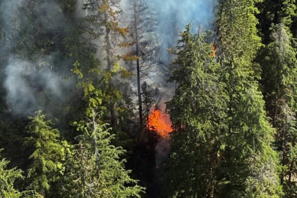 A wildfire is currently burning on Mount Seymour, east of the Seymour River, in North Vancouver Wednesday (July 12, 2023). B.C. Wildfire Service currently lists the fire as out of control, and was 0.3 hectares. (Metro Vancouver Regional District Emergency Services/Twitter)