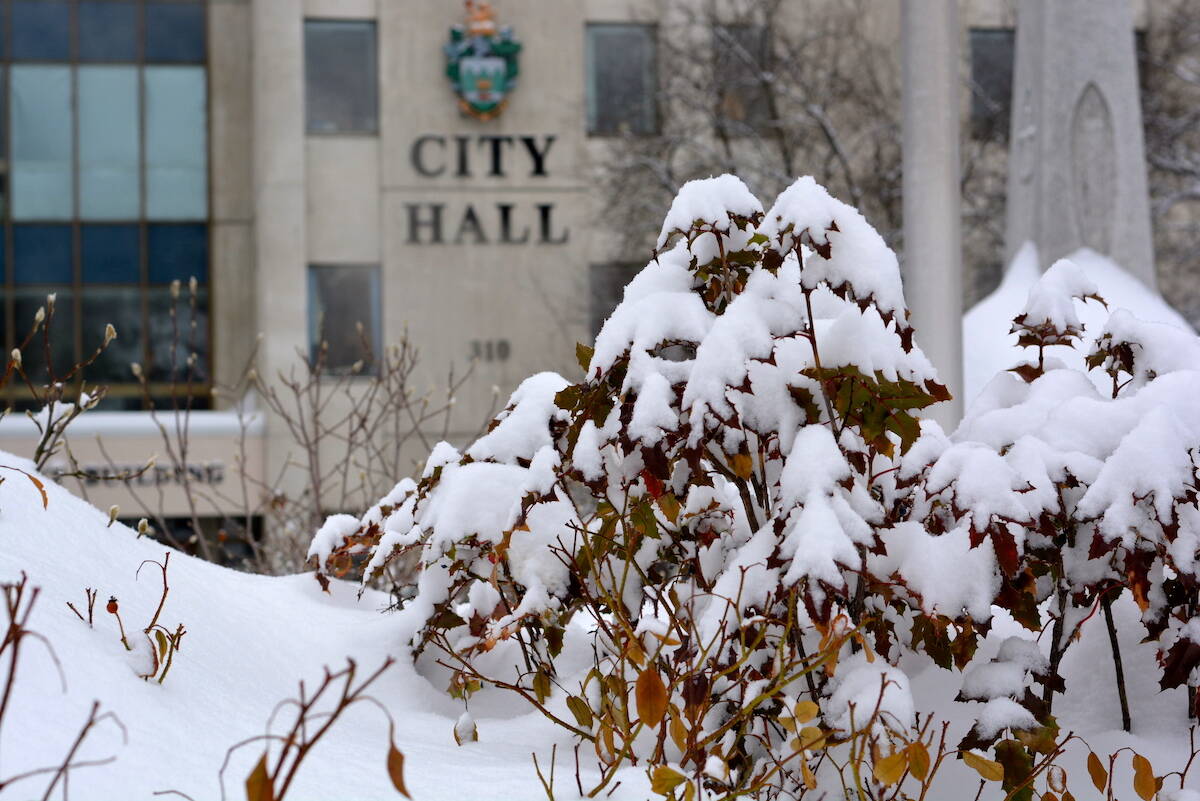 Nelson City Council agreed at its Dec. 5 meeting to send a letter to the federal government urging it to push for an end to hostilities in Gaza. Photo: Bill Metcalfe