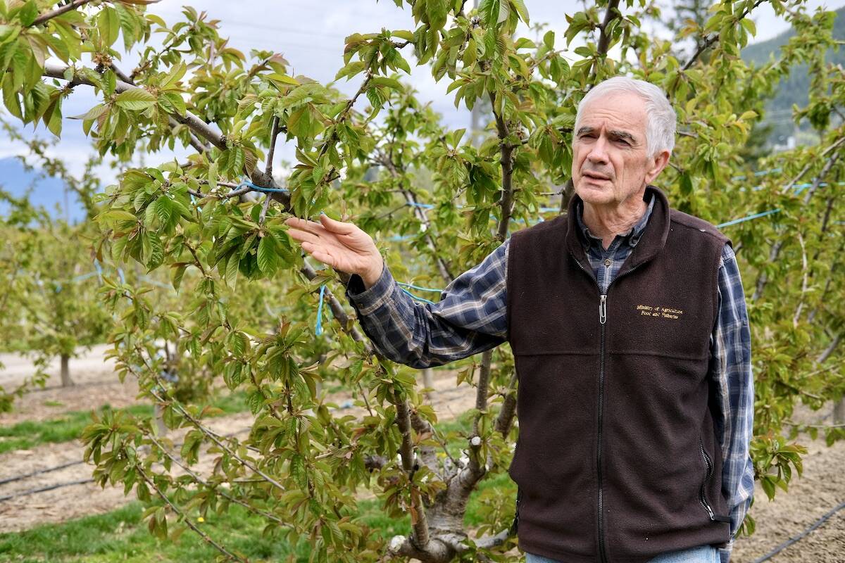 Retired fruit farmer and agricultural economist Don Low, who advises the Regional District of Central Kootenay on water issues in the Creston Valley, says the Arrow Creek water plant expensively treats water to a level far beyond what is needed for irrigation. Photo: Bill Metcalfe